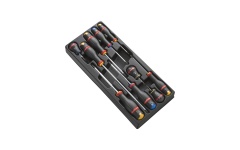 Foto MODULE (10) SCHROEVENDRAAIERS 2C PH/PZ FACOM PROTWIST MOD.A5